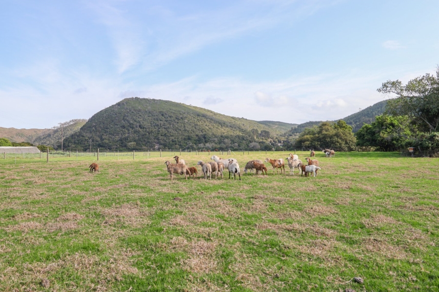 14 Bedroom Property for Sale in Knysna Rural Western Cape